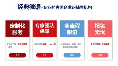 央國企攜手大學生，專業信息咨詢服務助力高質量就業